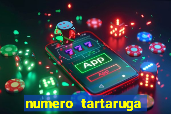 numero tartaruga jogo do bicho